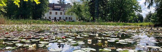 Der Schlosspark 